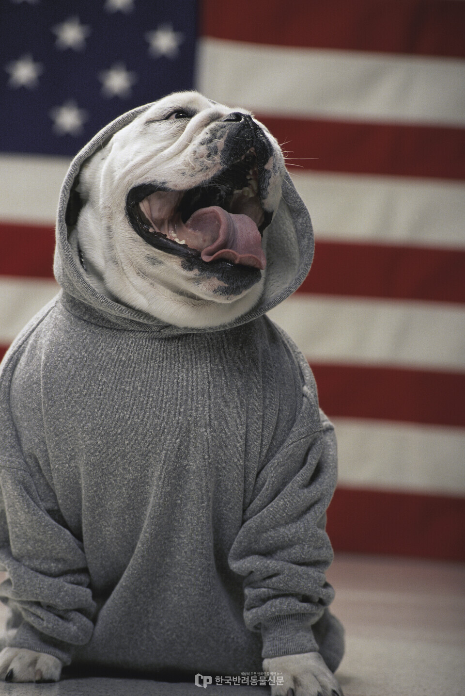 ▲ 본 이미지는 기사와 직접 관련이 없습니다. 사진=클립아트코리아 제공
