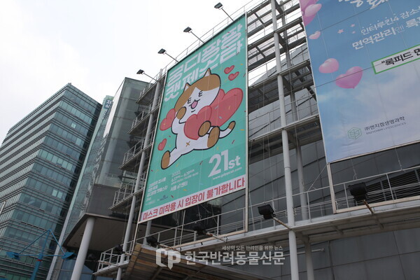 ▲ 제21회 궁디팡팡 캣페스타가 17일 오전 10시 양재AT센터에서 개최됐다. 사진 = 문진학 기자