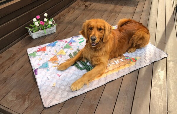 ▲냉감 원단 사용한 쿨매트 사진=크린버텍 제공