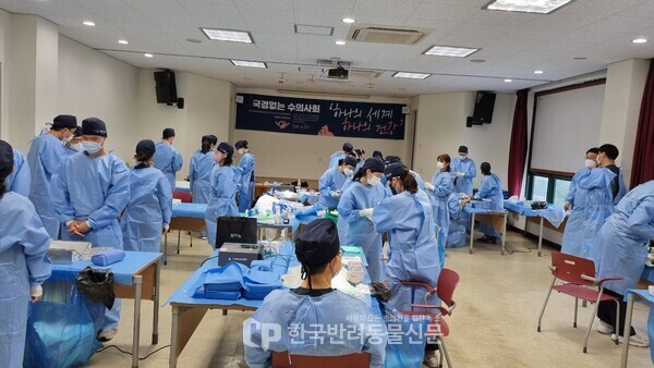 ▲ 삼죽권역도농교류센터 2층에 마련된 임시 수술실 이날 마당개 11마리, 길고양이 7마리가 중성화수술을 마쳤다. 사진=문진학 기자