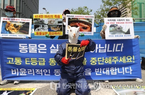 ▲ 한국동물보호연합 회원들이 세계 실험동물의 날인 지난 4월 24일 동물실험 중단 퍼포먼스를 하며 집회를 열고 있다. 사진=연합뉴스 제공