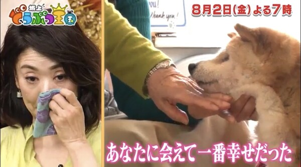 ▲ 보호자와 반려견이 모두 치매에 걸려 헤어진 후 재회한 카나코(孝子)씨와 반려견 코로(コロ)의 이야기가 TV로 방영, 화제가 됐었다. 사진 = 도쿄펫홈 트위터 @tokyopethome 갈무리, 후지TV
