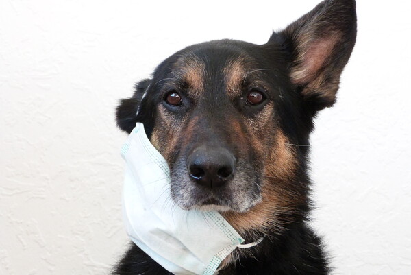 ▲ 사진은 기사 본문과 관련 없습니다 (사진 = 클립아트코리아 제공)