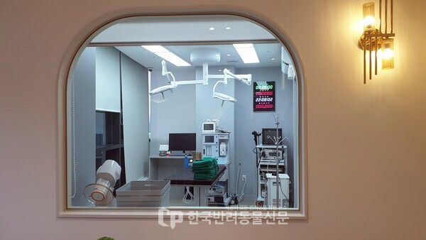 ▲ 시흥탑동물의료센터의 수술실은 외부에서 수술 과정을 확인할 수 있도록 마련됐다 (사진 = 문진학 기자)