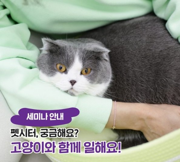 ▲ 캣페어의 '펫시터 궁금해요? 고양이와 함께 일해요!' 세미나 (사진 = 2023 가낳지모 캣페어 코엑스)